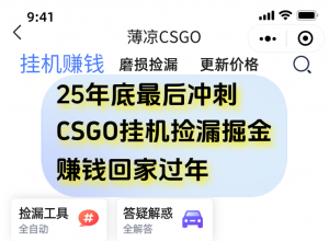 12月年底抓緊最后一個月,用CSGO游戲掛機撿漏掘金賺錢掘金,一部手機輕松日入500+-桀創(chuàng)項目掘金社